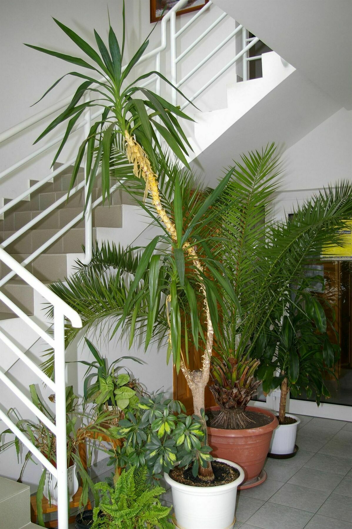 Arizona Apartman Siófok Exteriör bild